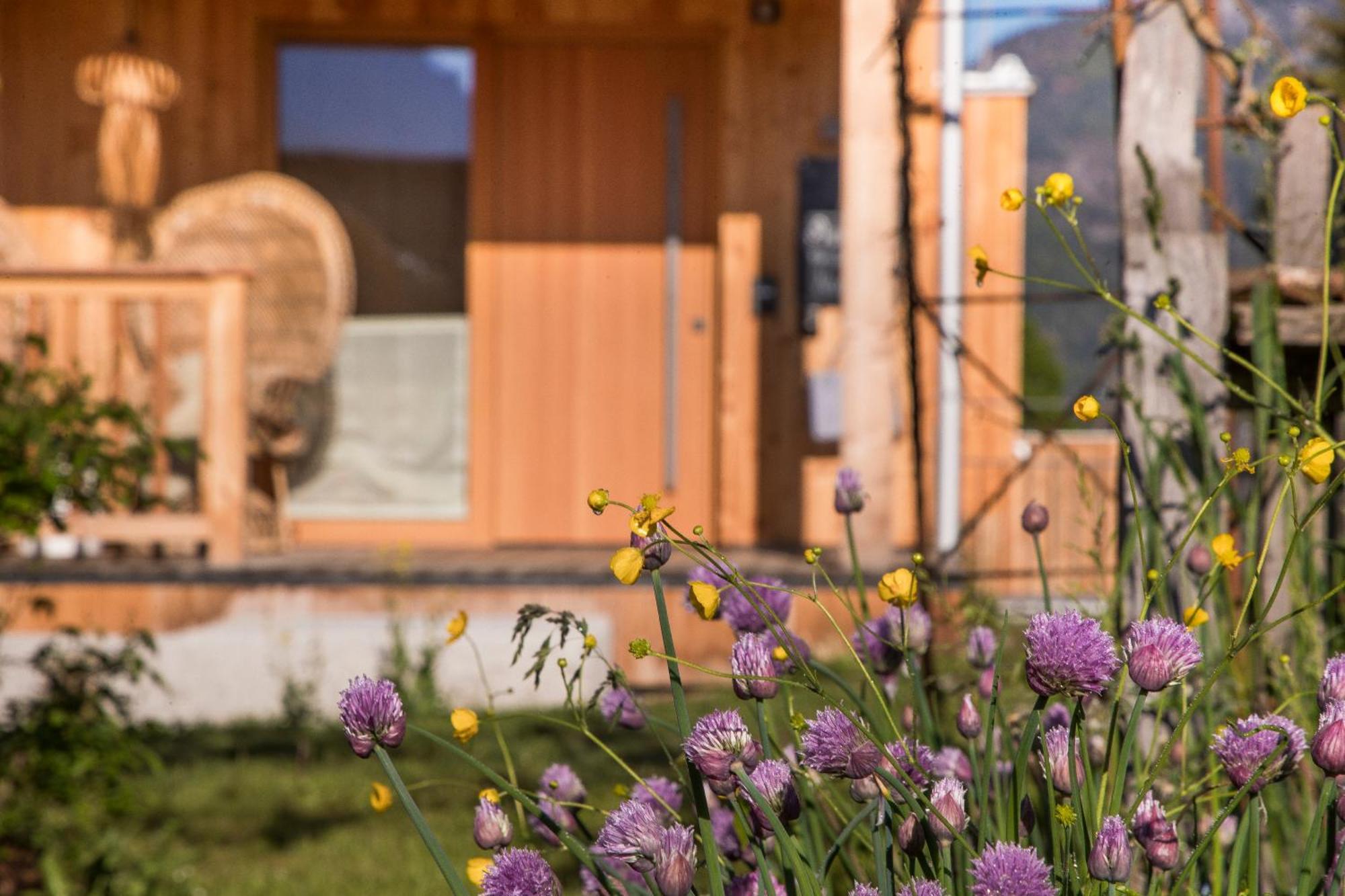 Alpegg Chalets Waidring Bagian luar foto